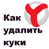 Очистка cookies в браузере Яндекс